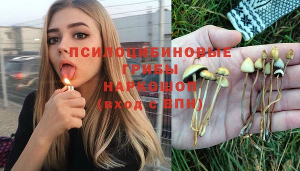 соль курить ск Бородино